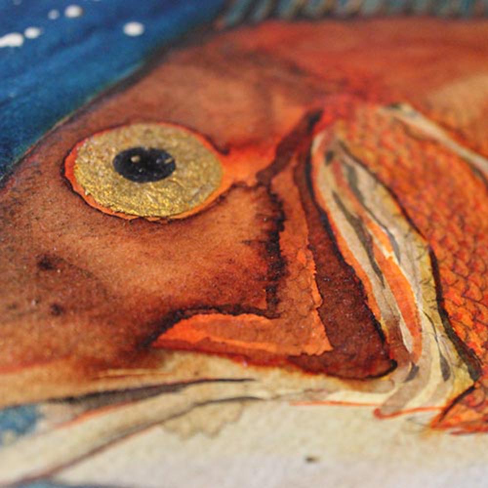 Red sea bream print by Alan McLeod
